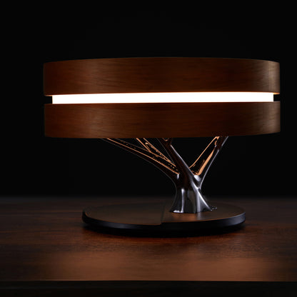 Smart Bluetooth Speaker